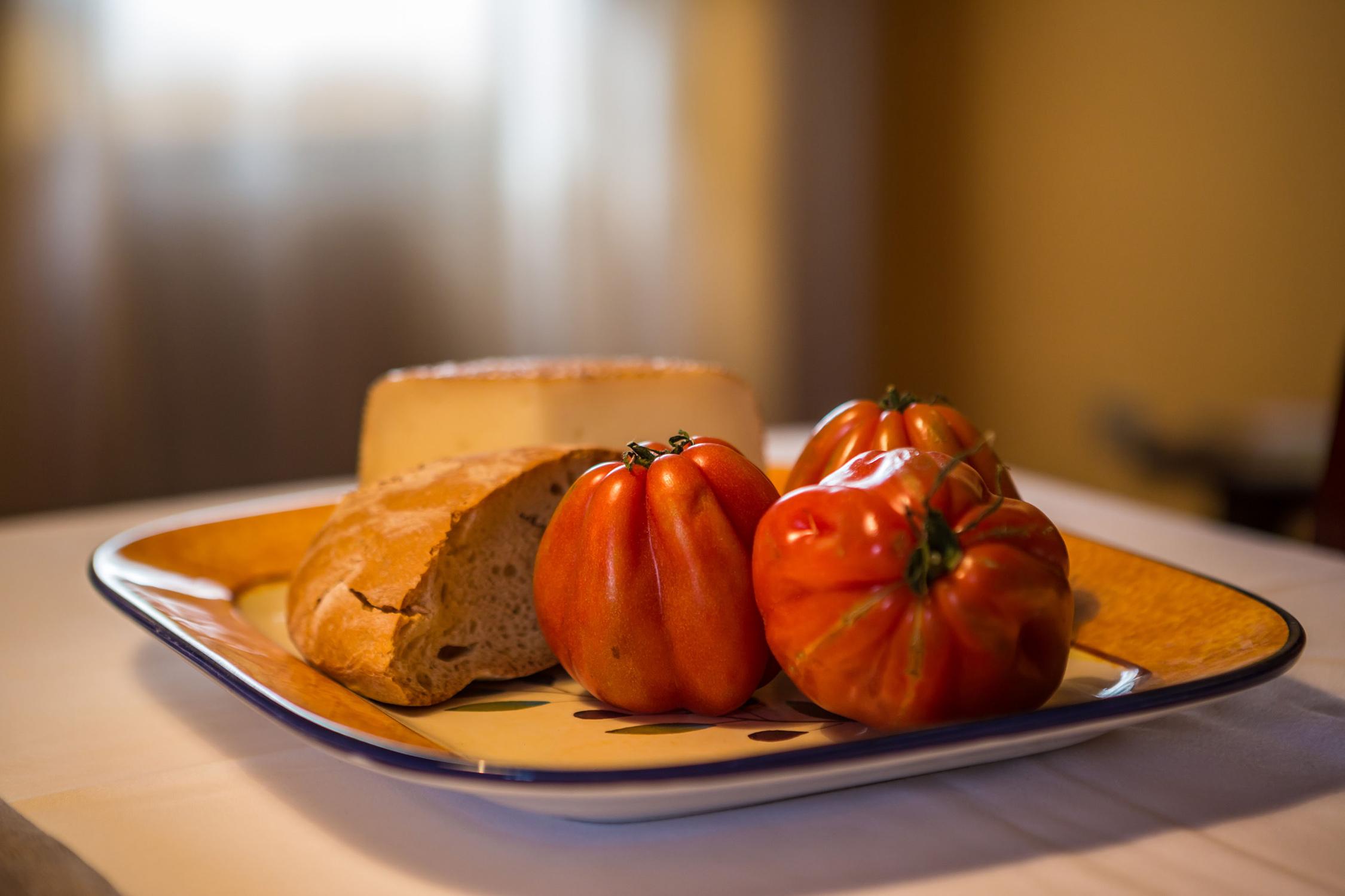 Agriturismo nel Chianti | Fattoria Pagnana, Appartamenti vacanze in Toscana